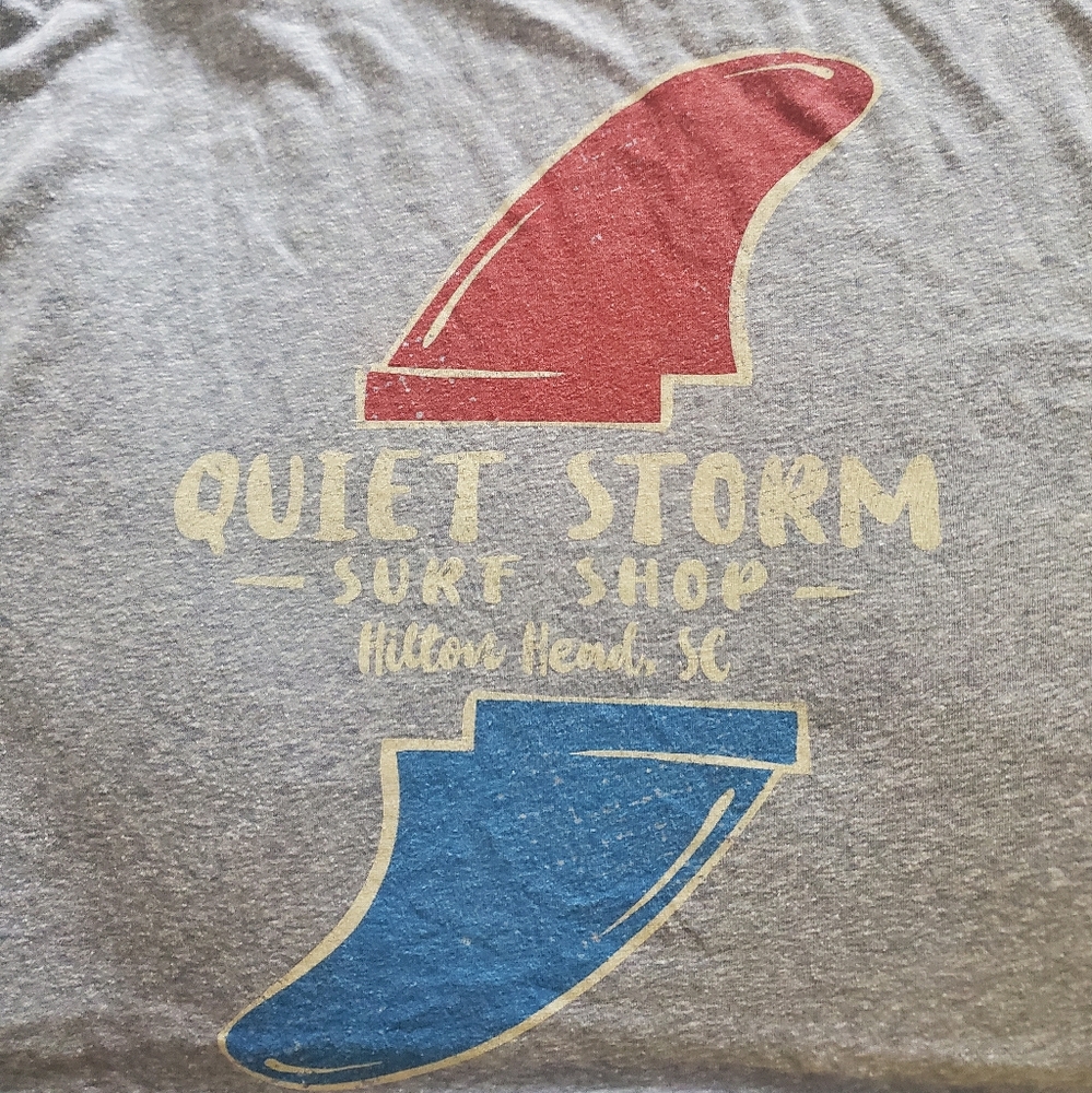 Gray Quiet Storm Surf Shop Crop Top